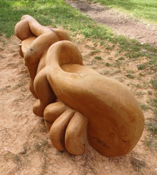 Systèmes racinaires